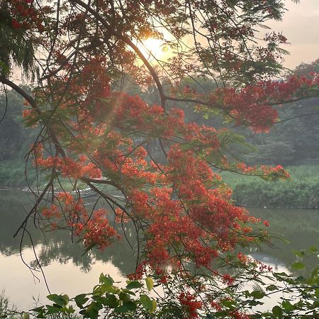 遗忘时光guesthouse Sky Dragon Guesthouse Luang Prabang Luaran gambar